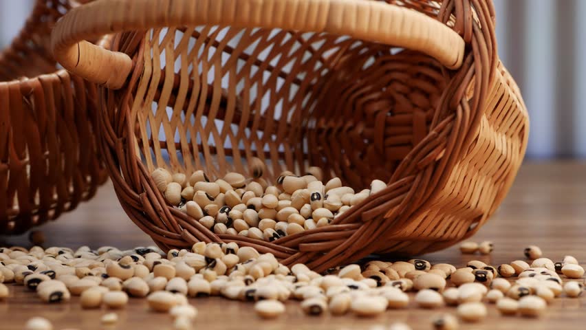 one filled with soybeans and another filled with black and white beans