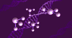 Animation of molecules and dna strands on purple background. Global science, research, computing and data processing concept digitally generated video.