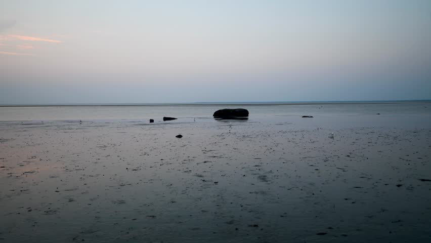 Sunset over the beach in Brewster, Cape Cod. Seagulls and birds feeding in the low tide at dusk.