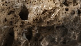 macro shot of a rock. sponge stone texture close-up. rought mountain surface. geological exploration. natural mineral background. 