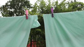 light green blue bed sheets hanging on clothesline with pink and purple plastic clips clothespins and trees behind, drifting blowing lightly in wind, medium shot