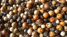 Multi-colored peppercorns are a vibrant blend of black, white, green, and red peppercorns. Each imparts unique flavors and aromas, adding depth and complexity to dishes.
