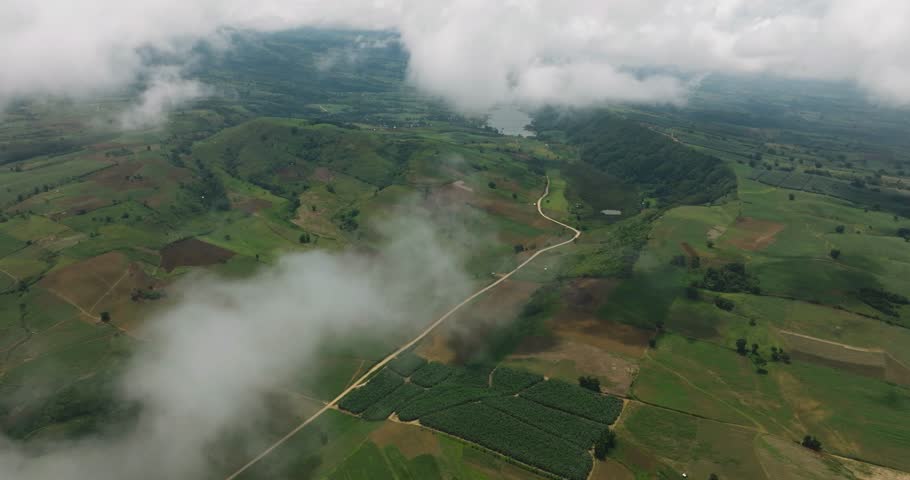 Plantation on agricultural land covered by clouds. Mindanao, Philippines.