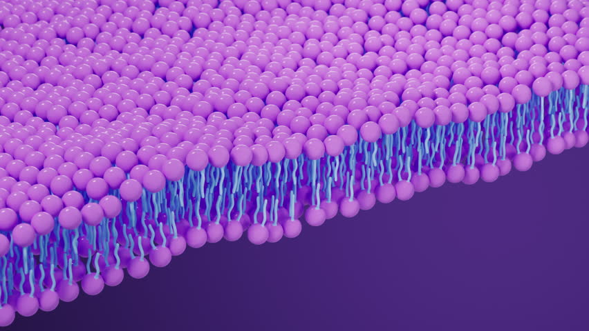 Cell membrane structure background, 3d rendering. Royalty-Free Stock Footage #1107833209