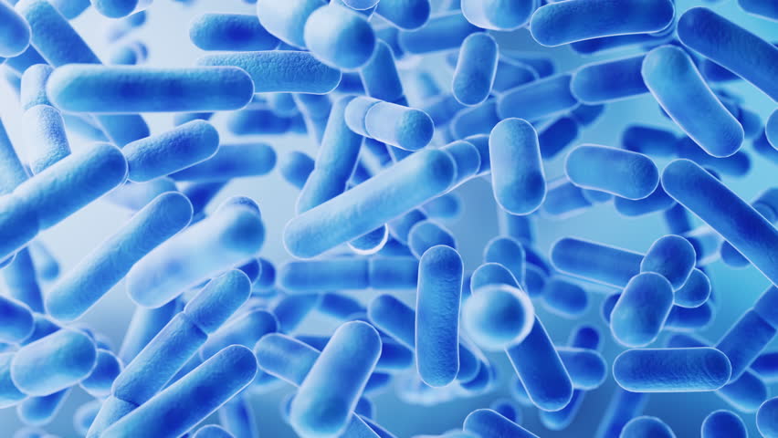 Large groups of germs with blue background, 3d rendering. Royalty-Free Stock Footage #1107833255