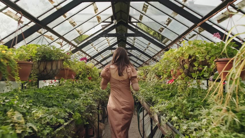 A young girl walks along a narrow aisle between rows of plants in a greenhouse, touching them with her hands and looking around. A beautiful young girl, lit by the sun