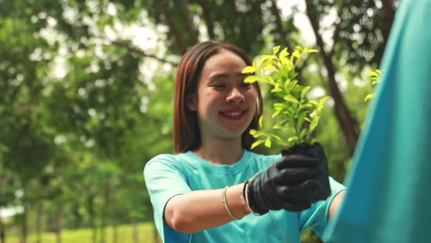 Asian female volunteers plant trees to protect the environment in the garden increase greenery receive seedlings from male volunteers who submit seedlings planted in the plantation smiling proudly.