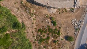 Vertical video. Stories format. In this captivating aerial video, the remnants of the ancient city of Perge come into view, showcasing a stunning amphitheater nestled within the historic ruins. This