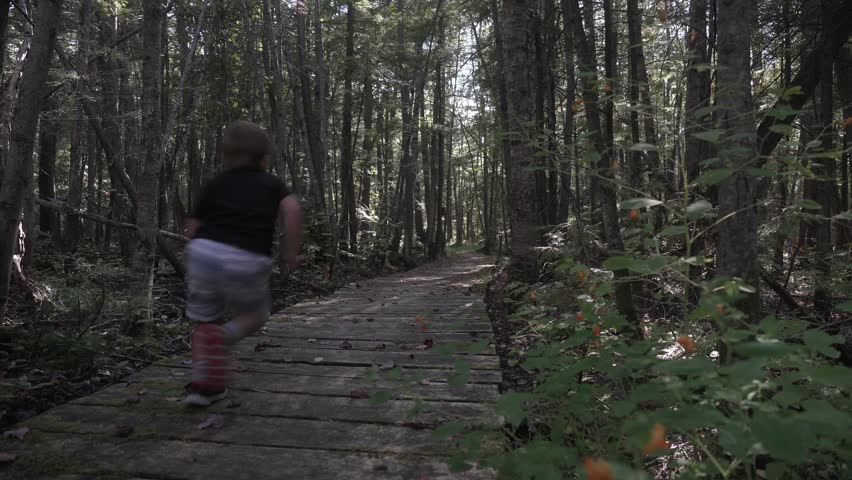 The little boy running down the boardwalk in Bass Lake Provincial Park, Orillia, Canada.
