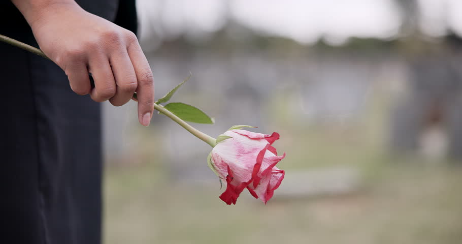 Death, cemetery and hands of person with flower for remembrance, ceremony and memorial service. Depression, funeral and closeup of rose for mourning, grief and loss in graveyard for bereavement Royalty-Free Stock Footage #1107873715