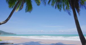 Phuket Thailand sea beach coconut tree at beach island blue sea and blue sky background Filmed with high quality film cameras. DCI 4K ProRes422