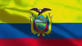 Ecuador Flag Waving in Wind. Seamless Loop Animation of the Ecuador Flag. Concept of Independence Day, 10th August, Ecuador Celebration. 4K National Flag of Ecuador - Powered by Shutterstock - Get 15% off with code: PIKWIZARD15