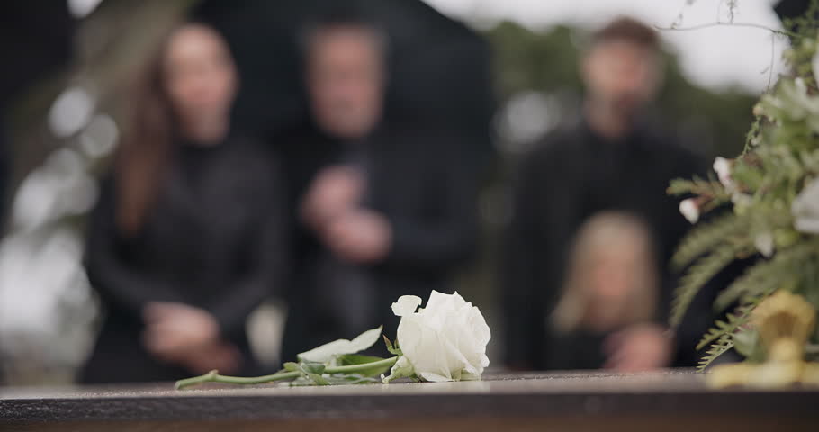 Rose, coffin and funeral at cemetery outdoor at burial ceremony of family together at grave. Death, grief and flower on casket at graveyard for people mourning loss of life at floral farewell event. Royalty-Free Stock Footage #1107887331