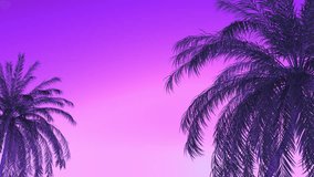 Silhouettes of two palm trees swaying from the wind on a purple gradient background in a seamless loop. This video is great for any nature, travel or inspirational project. - Powered by Shutterstock - Get 15% off with code: PIKWIZARD15