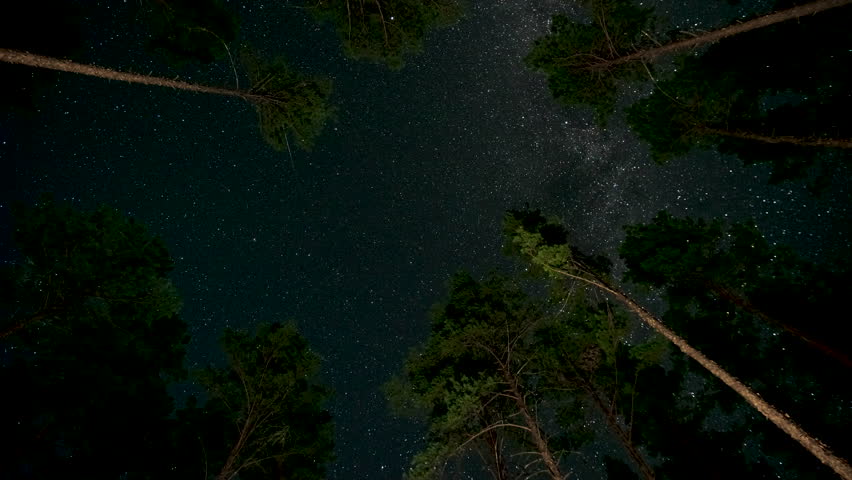 Time lapse of comet-shaped star trails over the forest in the night sky. Stars move around a polar star. Ultra 4K
