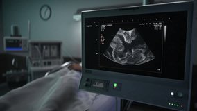Motherhood Prenatal Scan In Pregnancy Ward In Modern Healthcare Hospital. Hospital Scanner Checks Condition Of Baby. Motherhood Hospital Inspection. Ultrasound Scanner. Motherhood Health Examination - Powered by Shutterstock - Get 15% off with code: PIKWIZARD15