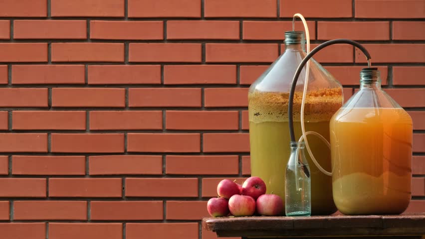Making homemade apple cider. Foam of cider in the bottle,  Fermentation. Apple wort in a fermentation jar, with an original air lock. Farmer produces cider at home, outdoors Royalty-Free Stock Footage #1107937331