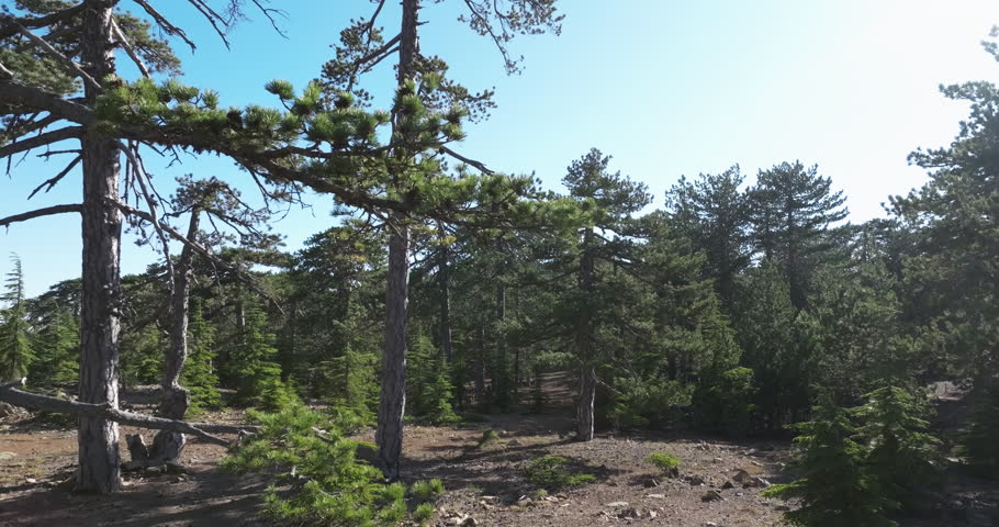 Aerial view of Mount Olympus. Beautiful landscape of mountains and forest with pine island. High quality 4k footage
