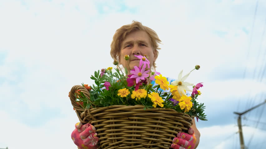 Grandmother is planting flowers in the garden. Selective focus.