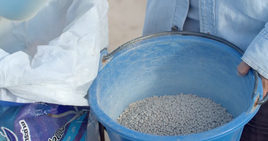 Measure granular soil fertilizer put in a basket and to put the plants.Granular soil fertilizer in white color in a bucket.Farmers bring fertilizer to nourish vegetables.(Close up hand top angle) Royalty-Free Stock Footage #1107965155