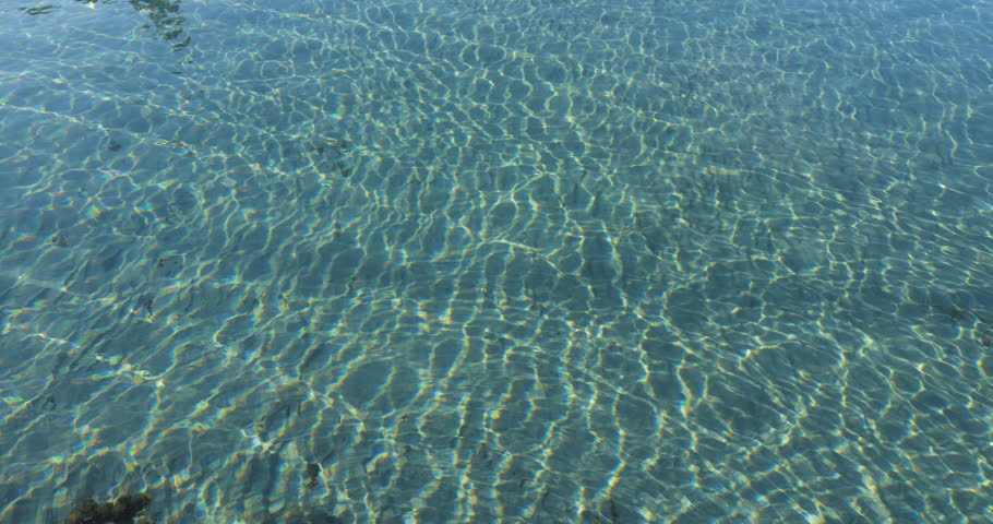 Camera tilt up from sea surface to a calm bay in the morning