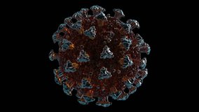 3d animation of the coronavirus foootage videos 2023.