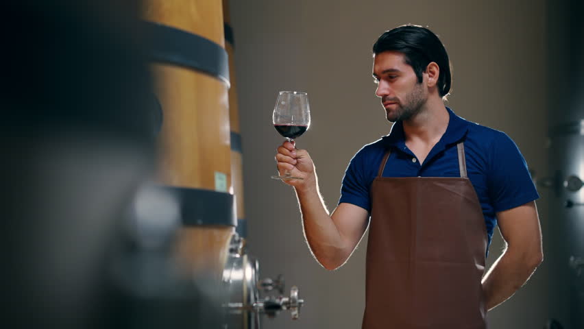 Professional man sommelier winemaker tasting and smelling red wine in wine glass at wine cellar with wooden barrel in wine factory. Winery liquor manufacturing industry and winemaking concept. Royalty-Free Stock Footage #1107978561