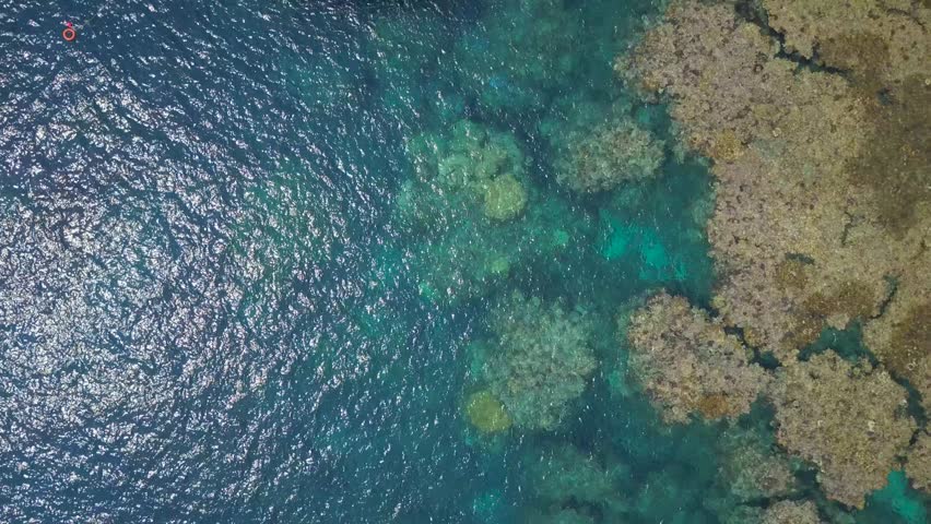 Aerial reveal of two boats anchored in a coral reef in the Red Sea, with tourists in two boats near Jeddah in Saudi Arabia. Blue, green and turquoise waters Royalty-Free Stock Footage #1107979029