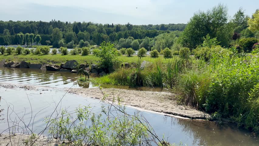 Summer landscape with a river, trees and grass on the river bank. Resting on the river in the middle of beautiful nature on a sunny summer day. Decorations of the river bank. Rivers dry up in the heat