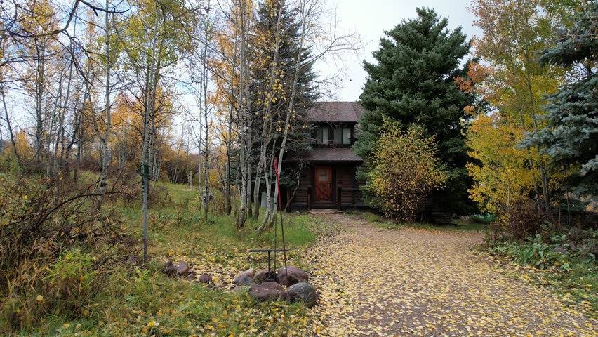 An old cabin in the woods. 