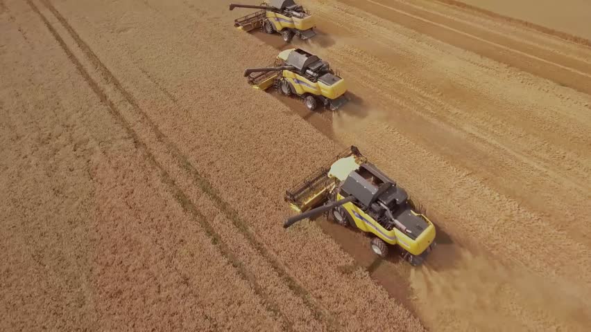 Aerial top-down view of a row of combine harvesters working in unison to collect golden wheat during harvest season. Concept of feeding the planet and the agriculture industry. Royalty-Free Stock Footage #1108002513