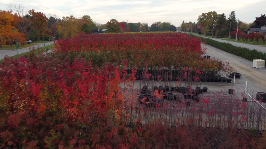 Flying Above Beautiful Fall Colors In Botanical Garden In Niagara Region, Ontario, Canada. low aerial