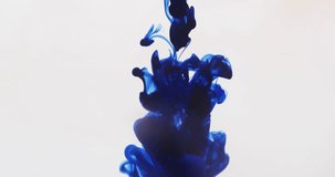 Animation of price drop text over blue liquid on w white background. Shopping, communication and background design concept digitally generated video.