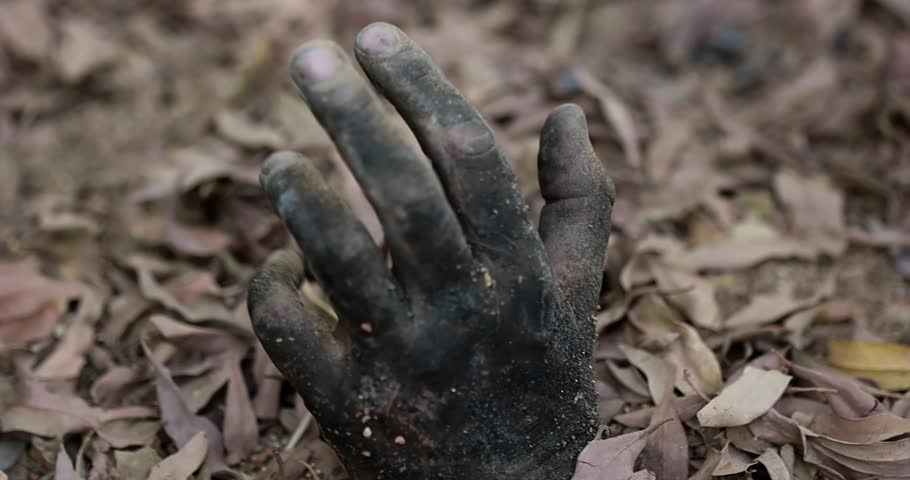 Halloween dirty zombie hand crawls out of the ground