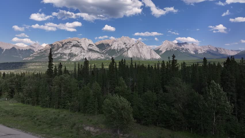 Drone view rising over the trees of the Kootenay Plains Ecological Reserve and Mt. William Booth in the background in the Rocky Mountains of Alberta, Canada