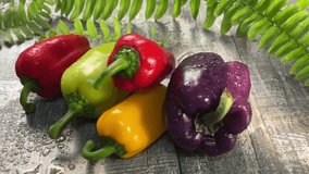Video of colorful bell peppers on wet table in fine mist and changing light