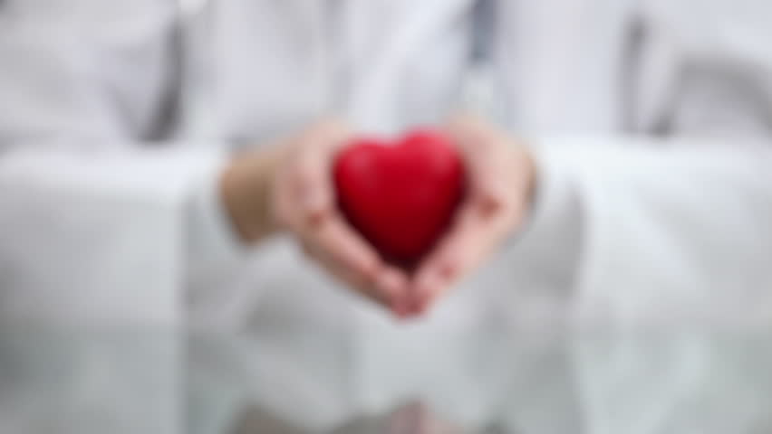 Doctor holding a heart in his hands, close-up Royalty-Free Stock Footage #1108030341