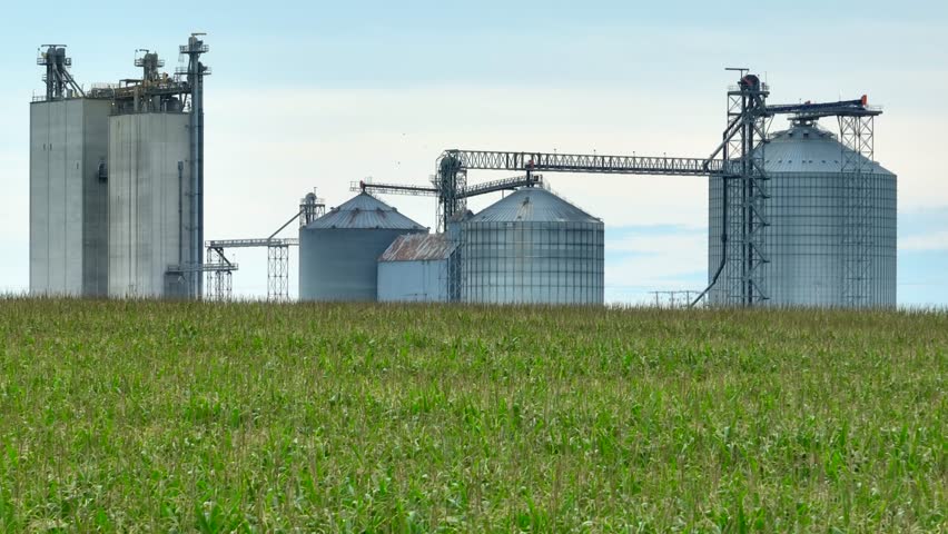 Corn fields and grain elevators in rural USA. Aerial reveal of large ethanol plant. The breadbasket of America. Royalty-Free Stock Footage #1108030757