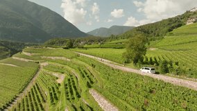 Beschreibung:
Glide through picturesque vineyards as taxis and cars navigate the beauty of wine country. Stunning drone footage captures the essence of a scenic drive.