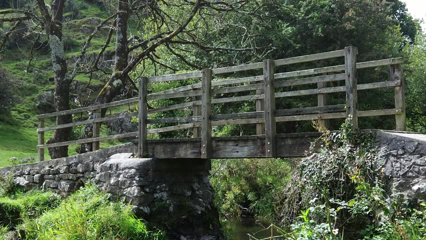 Female with red dreadlocks walking puppy on rural wooden bridge crossing countryside stream, Slow motion zoom in shot