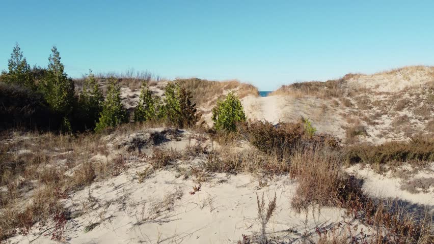 Trails On Sand Dune Savannah Near Seashore Of Pinery Provincial Park In Ontario, Canada. Aerial Drone Shot