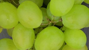 Macro of green grapes. Close-up of white grapes. White grapes with drops of water. Camera movement from bottom to top. Macro footage.