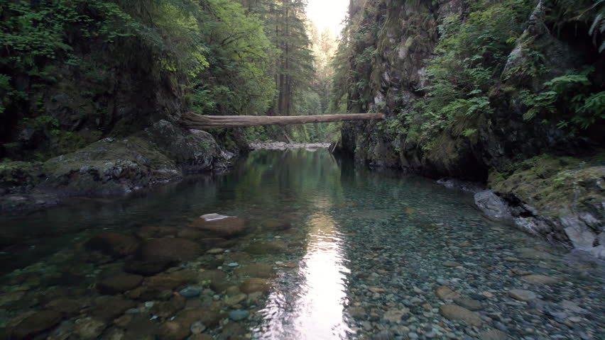 Beautiful pristine evergreen forest river, BC outdoors, fresh water, turquoise, Canada. 4K 24FPS PRORES 422