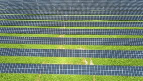 Aerial View of Solar Panels Farm Solar Cell With Sunlight. Production of Clean Energy. Renewable Green Alternative Energy Concept. Alternative Renewable Energy With Photovoltaic Cell Industry UHD 4K - Powered by Shutterstock - Get 15% off with code: PIKWIZARD15