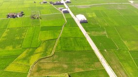Aerial Videos. Aerial Drone Footage landscape view of a village road that divides a wide rice field. Road access on the outskirts of Koota Bandung - Indonesia, Asia. High Quality 4k Videos