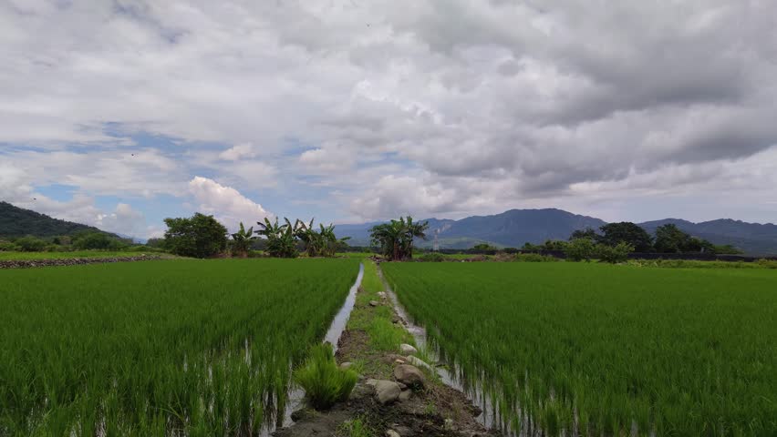 The nice view of Wuling Green Tunnel, Taitung, Taiwan