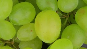 Macro of green grapes. Close-up of white grapes. White grapes with drops of water. Camera movement from bottom to top. Macro footage. - Powered by Shutterstock - Get 15% off with code: PIKWIZARD15