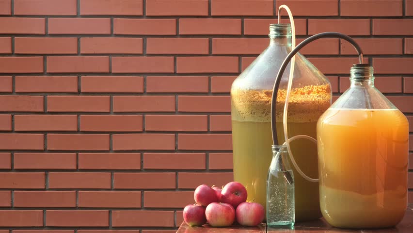 Apple cider production. Foam of cider in the bottle,  Fermentation. Apple wort in a fermentation jar with an original air lock. Making homemade apple cider. Farmer produces cider outdoors Royalty-Free Stock Footage #1108085029