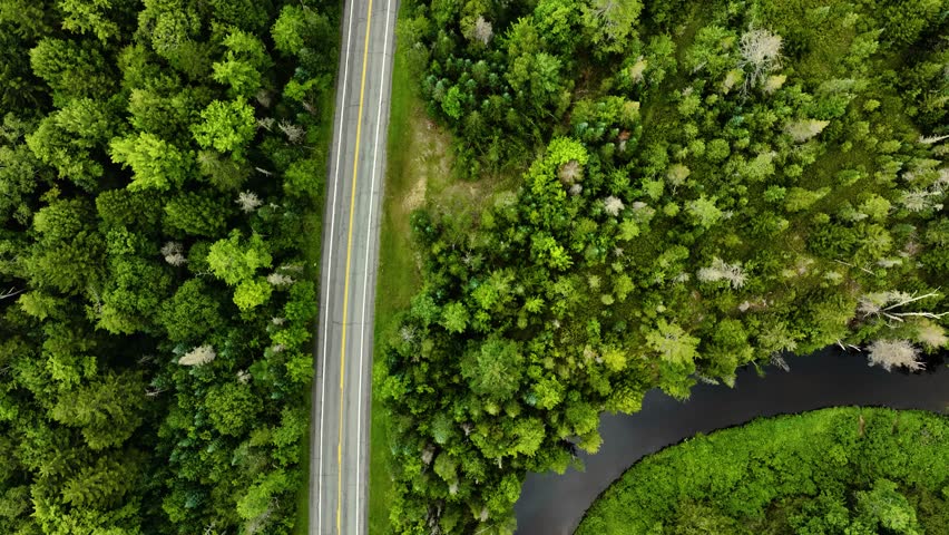 Top Down view of natural forests, spin with drone.