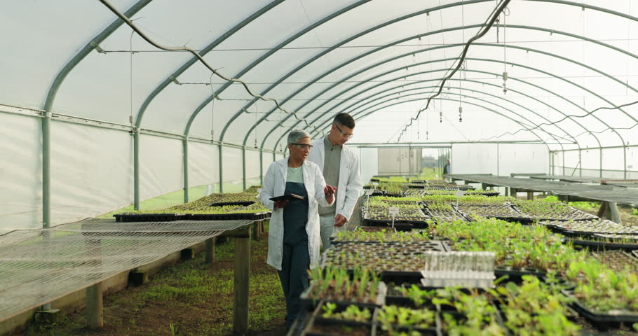 Greenhouse, man and woman with a tablet, conversation and farmer with agriculture inspection, teamwork and food development. People, scientist and coworkers with tech, sustainability and production Royalty-Free Stock Footage #1108089799